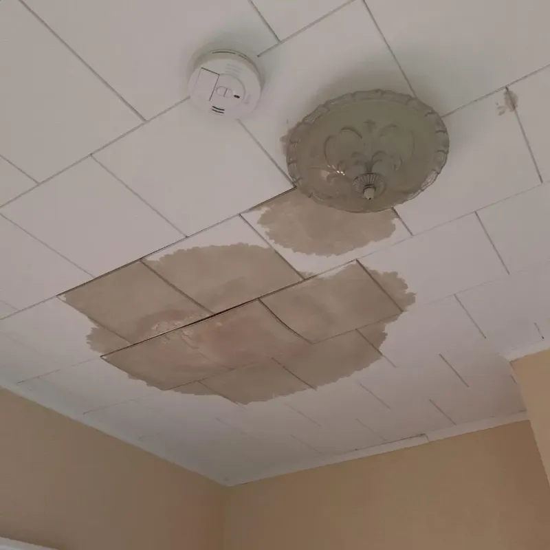 Ceiling Water Damage Repair in Taft Mosswood, CA